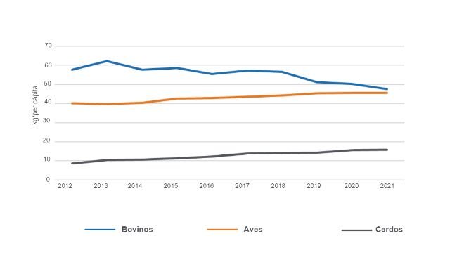 Fuente: MAGyP, 2022. 