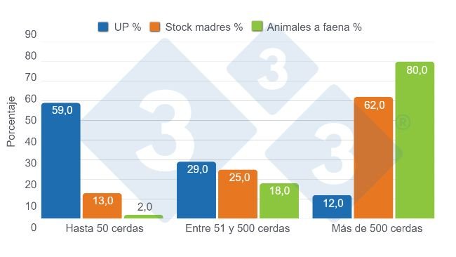 Gráfico 4. Distribución porcentual por tamaño de granja en número de unidades productivas (UP), stock de cerdas madres y participación en la faena. Elaboración propia con datos de de la Secretaría de Agricultura, Ganadería y Pesca (SAGYP), Anuario Porcino 2024.