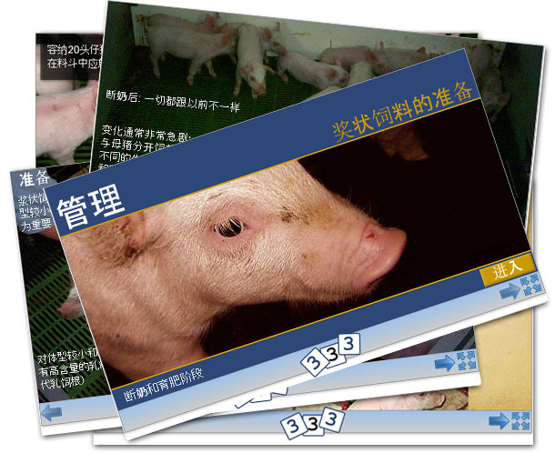 新版块: 猪场管理