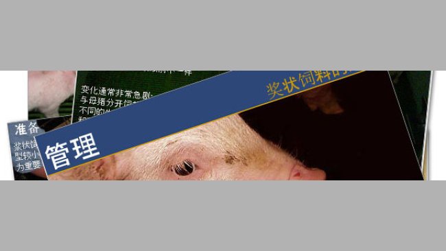 新版块: 猪场管理