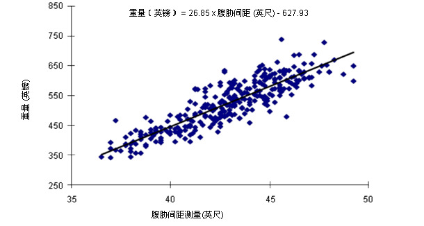 腹胁间距测量