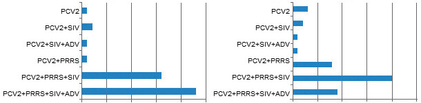 Co-seropositivity in pigs
