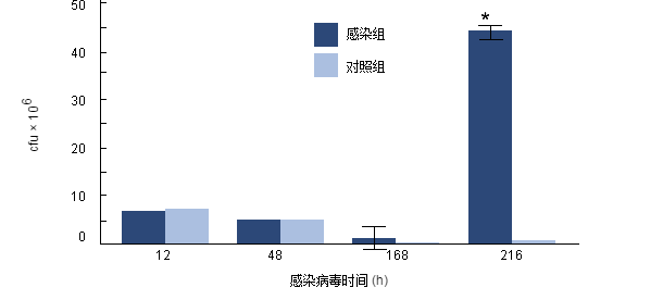 Intracellular survival of H. parasuis in porcine alveolar macrophages collected from pigs previously infected with PRRSV