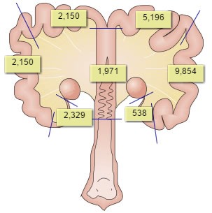 Inseminations with encapsulated doses