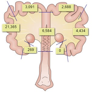 Inseminations with non-encapsulated doses