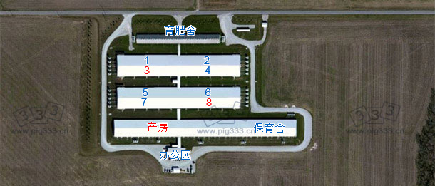 母猪存栏为6000头的种猪场（该猪场隶属于一存栏15,000 头的母猪专业场），设有专门的自繁自养系统