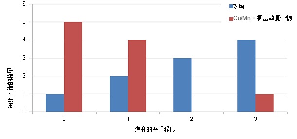 Distribution of the severity of the cartilage lesions (scale from 0 to 3) in animals pertaining to the control group or in animals that consume a diet with Cu/Mn bound to amino acids.