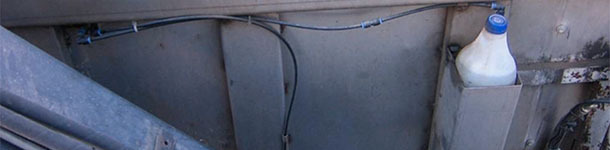 Avoiding the capture of flies by carcass collection lorries is difficult, if not impossible, but the use of insecticides on the inside of the container once it is closed would eliminate them.