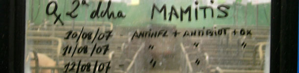 Notes on the swine farm door windows