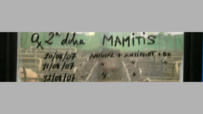 Notes on the swine farm door windows