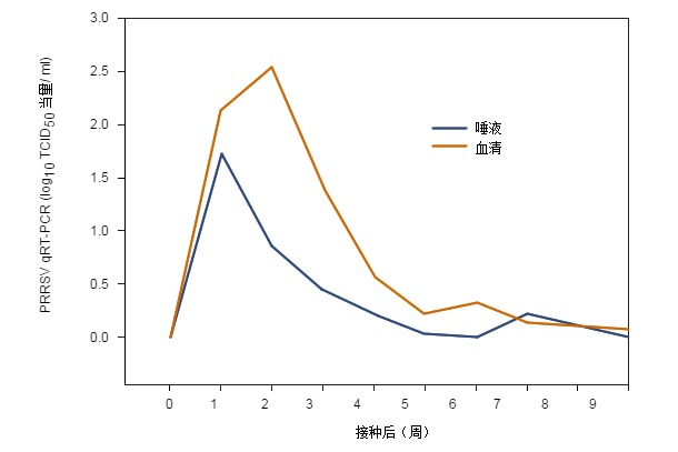 Serum and oral fluid PRRSV qRT-PCR results by post-inoculation week