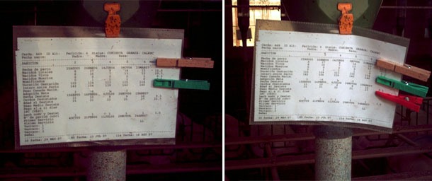 Coloured pegs for the identification of the number of returns to oestrus of the sows