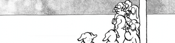 Lechones espabilados