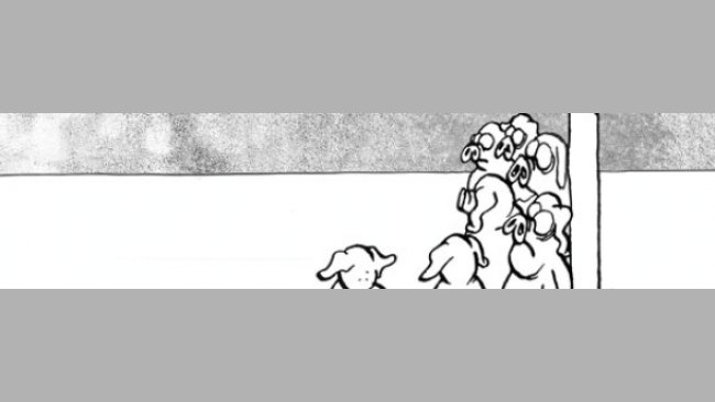 Lechones espabilados