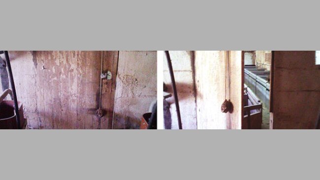 Automatic door closing on the farm 1