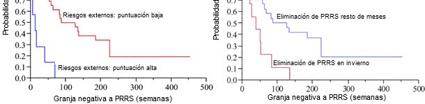 Probability of a farm to remain PRRSV-negative