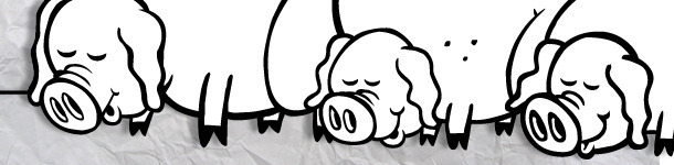 Birth weight variability