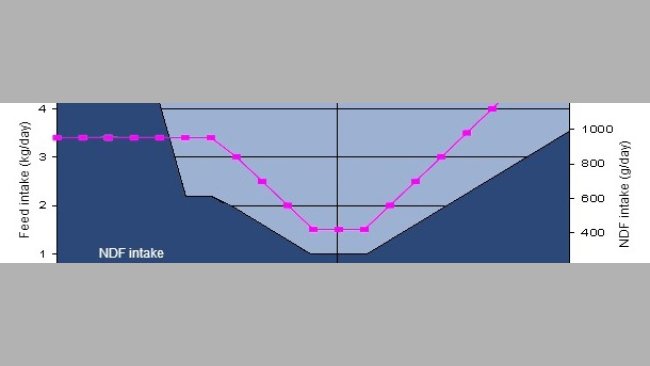 Ingesta de fibra (FND) alrededor del parto