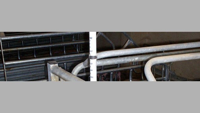 We move a plastic ring along the water drainpipe, leaving it at a series of pre-established marks.