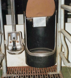 Hopper with a fall mechanism. The regulation is more accurate than with the previous system. Bowl for providing water.