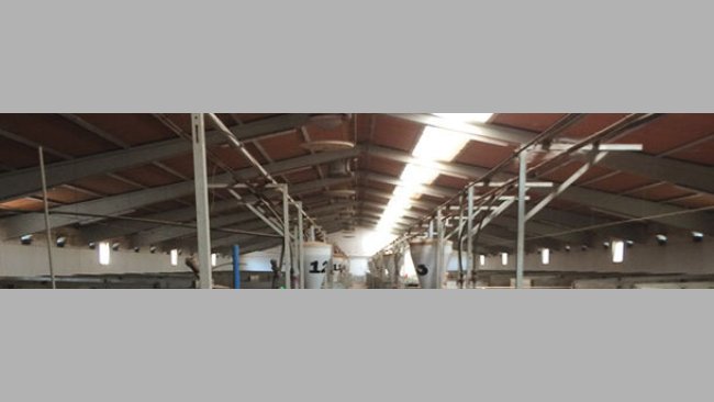 Confirmed pregnancy building with translucent part placed lengthwise