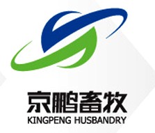 Kingpeng  1