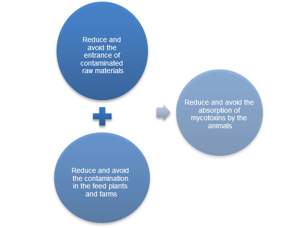 Prevention strategy against mycotoxicoses in pig production