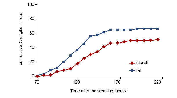 Time after the weaning.