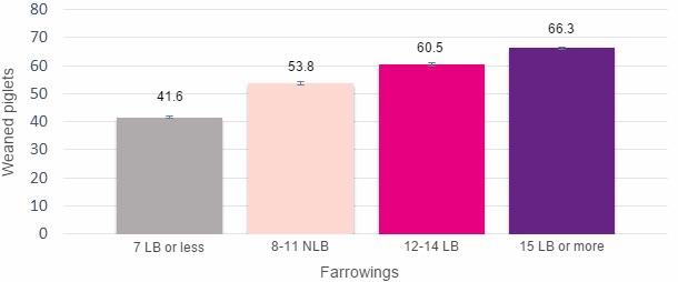 Piglets produced during a sow's life based on the number of PBA at first farrowing