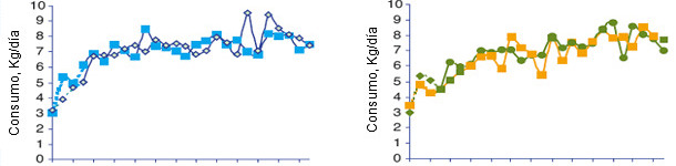 Evolution of the sows' average daily feed consumption according to the batch at the moment of the feed transition.