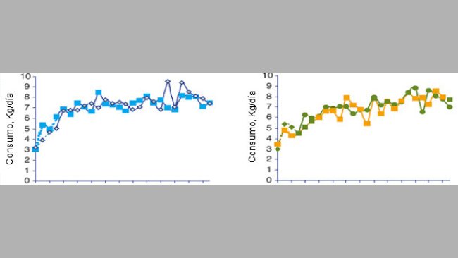 Evolution of the sows' average daily feed consumption according to the batch at the moment of the feed transition.