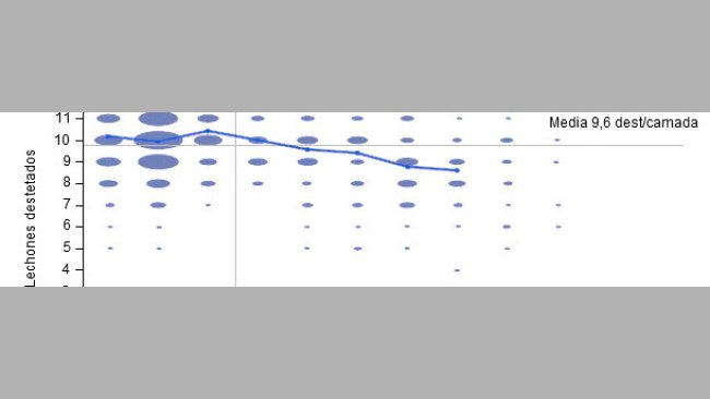 Number of weaned piglets per litter in the 6 months previous to our intervention