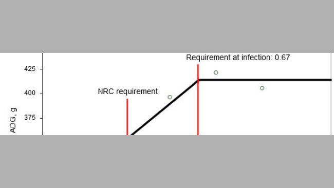 Standardized ileal digestible sulphur amino acid requirement determined in weaner pigs orally infected with an enterotoxigenic strain of E. coli