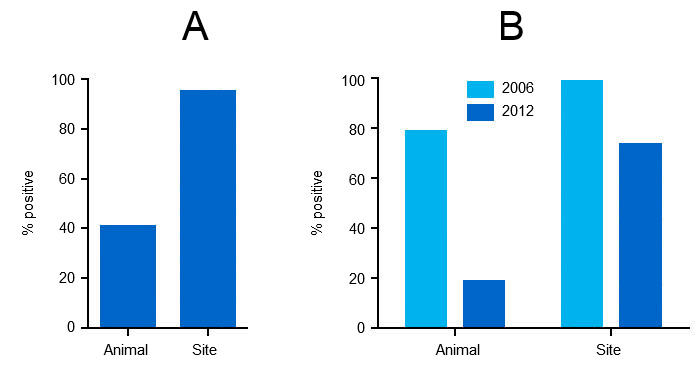PCV2 antibodies in serum from finishing pigs in 2006 and 2012