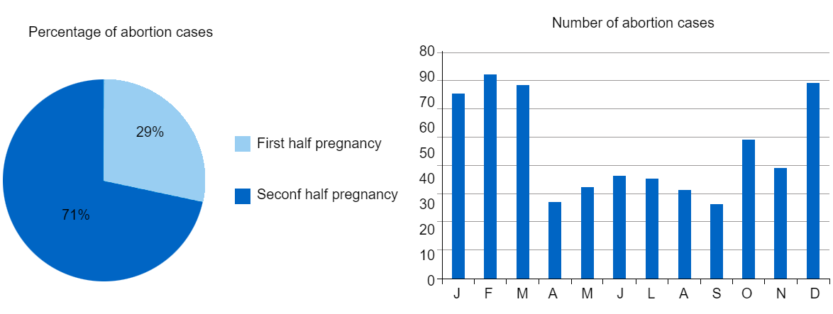 The pie chart represents the percentage of abortions in the first and second stage of pregnancy, respectively. The bar chart represents the seasonality of abortions.