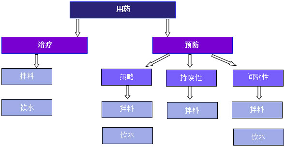 主要用在饮水和饲料中的口服药物治疗方式