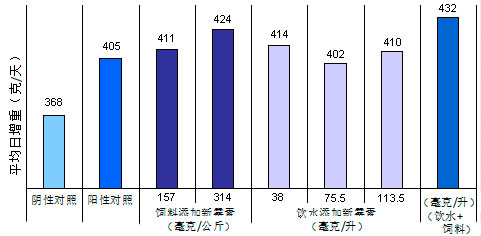 饮水用药和饲料加药对生长的影响
