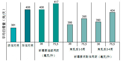 饮水间歇性用药对生长的影响
