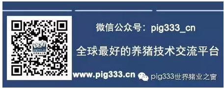 PIg333wechat 1