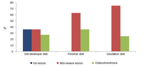 Prevalence of claw lesions in gilts depending on the diet fed during their development