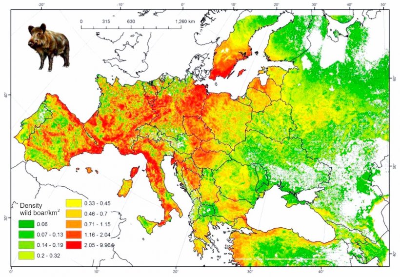 Figure 2.&nbsp;Estimated boar population in Europe. Source: FAO-ASFORCE, May&nbsp;2015.
