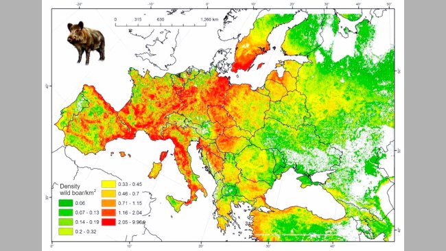 Figure 2. Estimated boar population in Europe. Source: FAO-ASFORCE, May 2015.