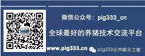 Pig333wechat