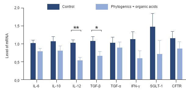 Effect of the addition of a mixture of thyme, vanilla and organic acids on gene expression of various pro-inflammatory cytokines in the gut of piglets
