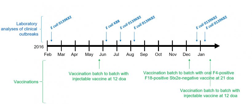 Picture 1: Laboratory analyses of clinical outbreaks and vaccinations calendar