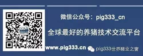 Pig333wechat