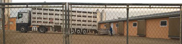 We must avoid the lorries entering the farm