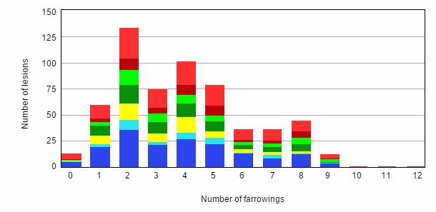 Distribution of injuries per number of farrowings.