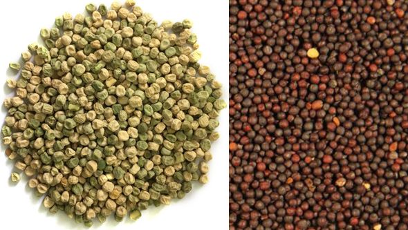 Peas and canola for feed