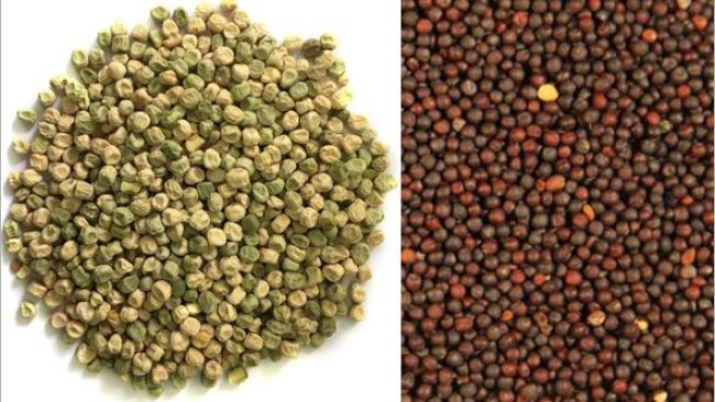 Peas and canola for feed